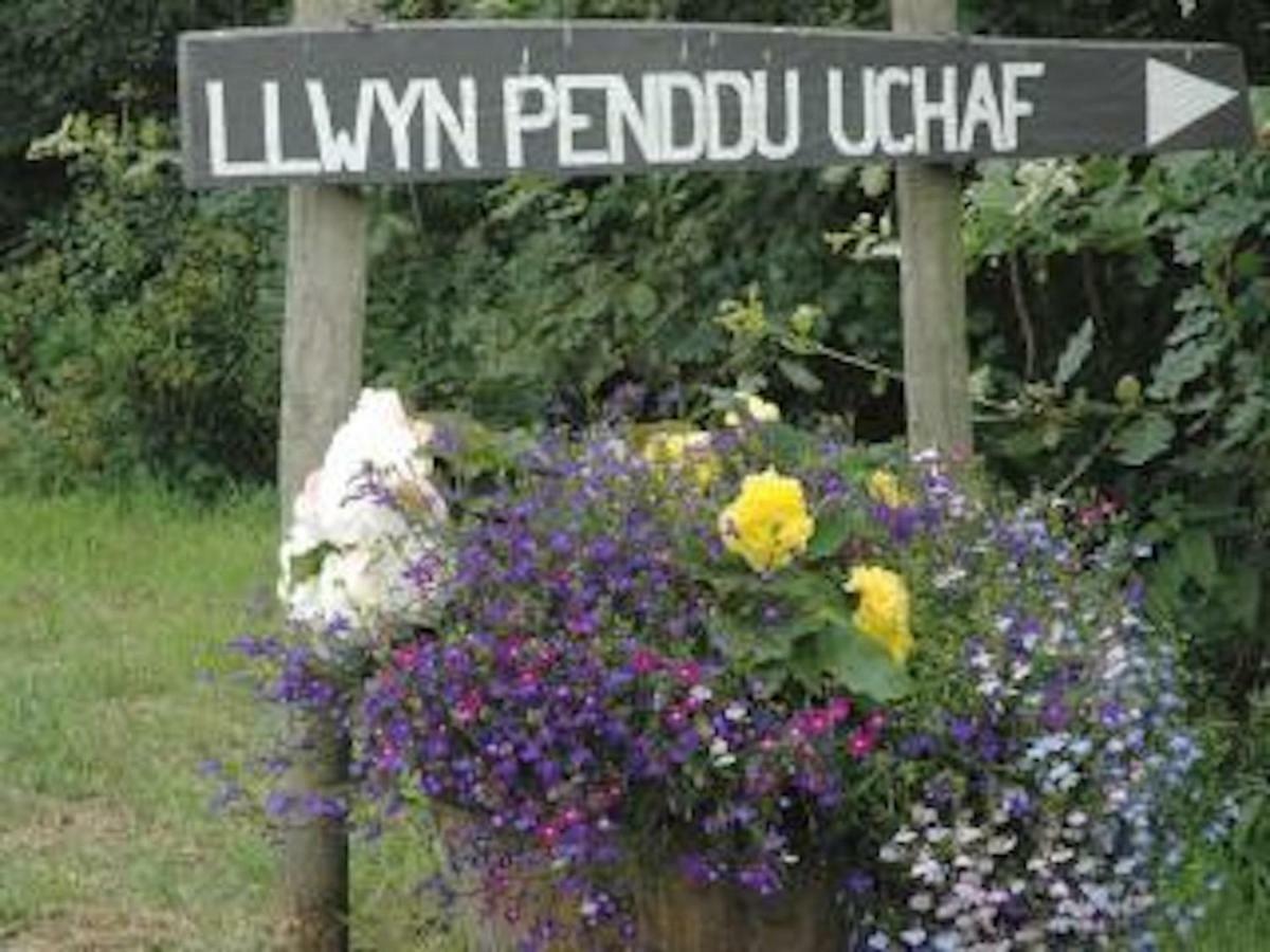Beudy Bach And Beudy Mawr Mountainstudios Bangor  Exterior foto